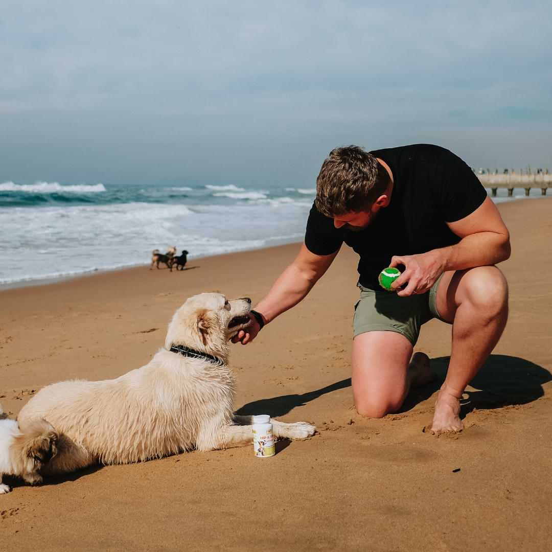 Outback's For Jenny Hip & Joint Capsules For Dogs - Buy 1 Get 1 Offer
