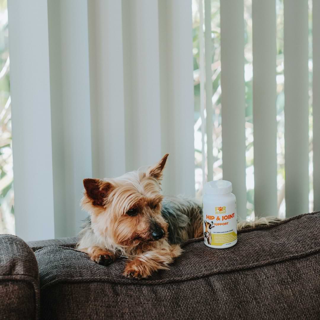 Outback's For Jenny Hip & Joint Capsules For Dogs - Buy 1 Get 1 Offer