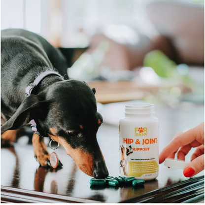50% OFF ⚡- For Jenny Hip & Joint Capsules For Dogs